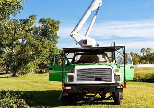 Do Tree Removal Companies Need to be Licensed in Florida?