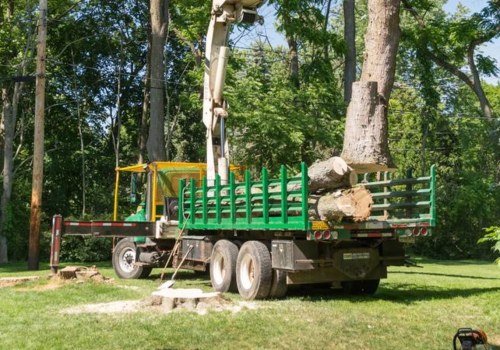 Can Tree Removal Companies Work in the Rain?